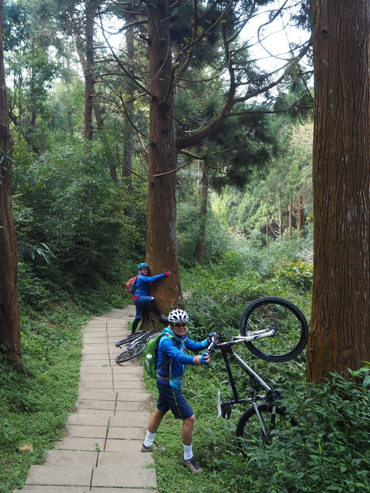 木馬古道風雲【策馬入林、東斜西堵、上塌下突、十面埋伏之竹林陣】