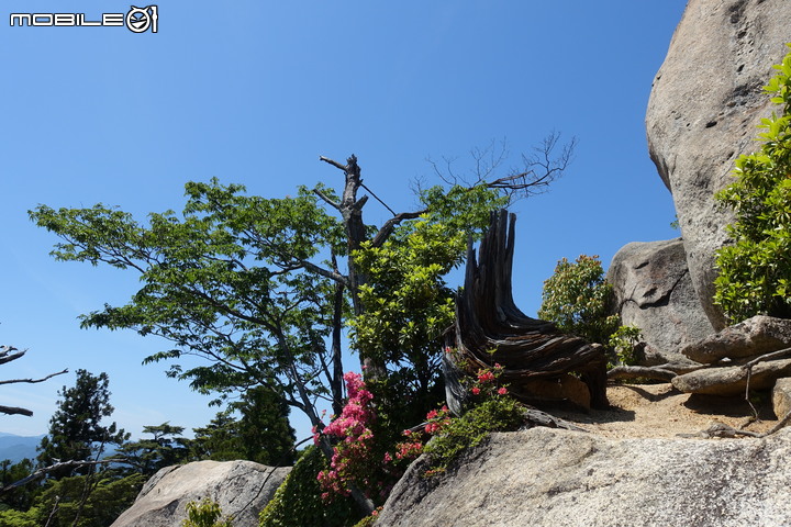 宮島就是要上弥山(彌山)