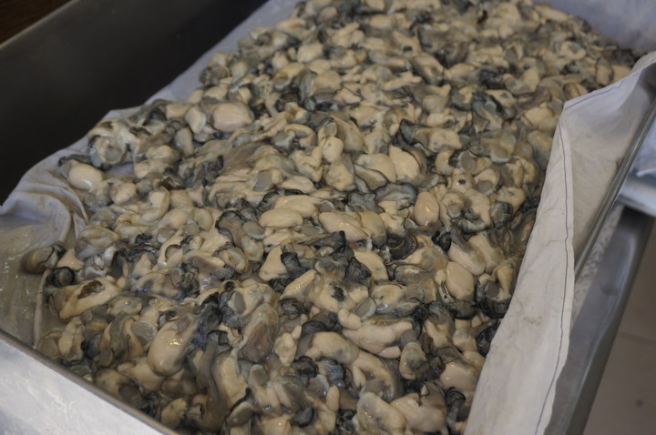 〔美食新語〕麵麵屹立說龍山寺附近13家蚵仔麵