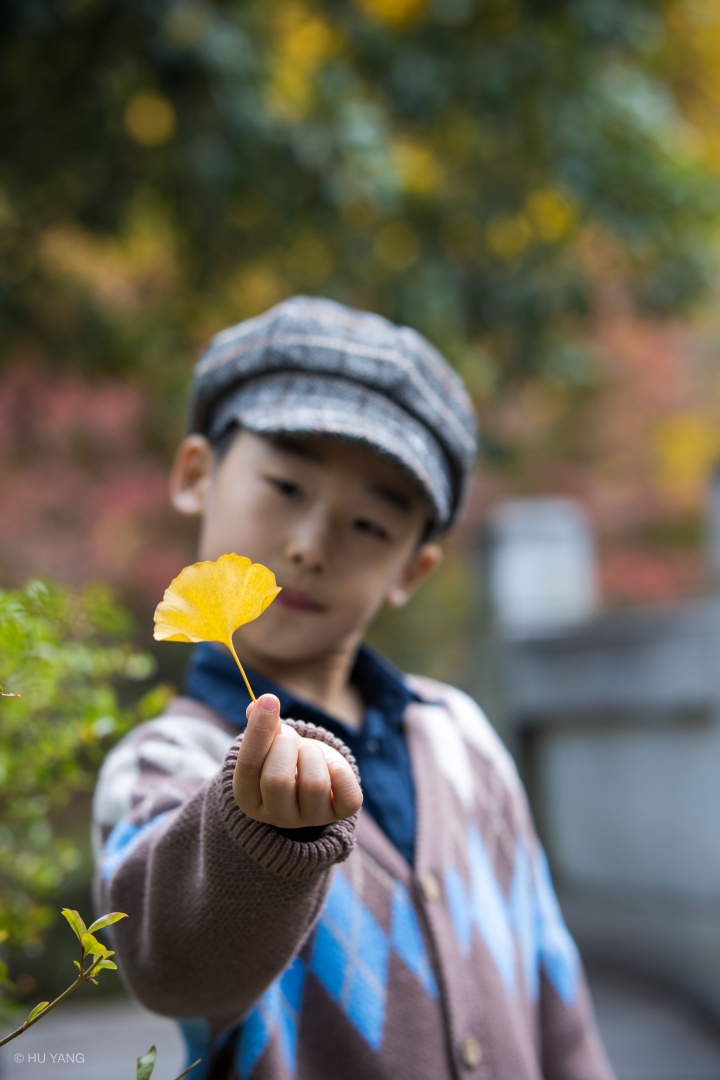 M6 II + SIGMA 56mm F1.4 DC DN