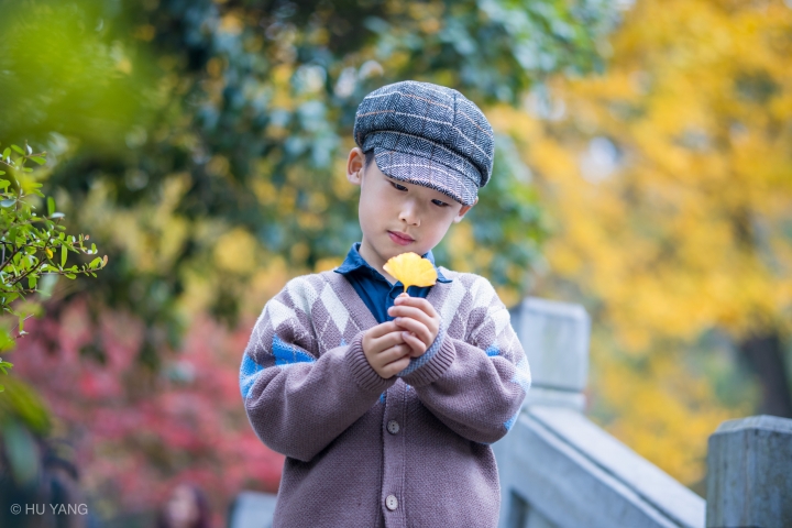 M6 II + SIGMA 56mm F1.4 DC DN