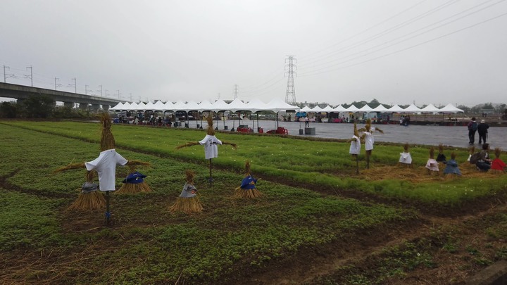 [樂山童盟] [桃園楊梅] 2019桃園仙草花節~紫色地毯閃亮你的眼