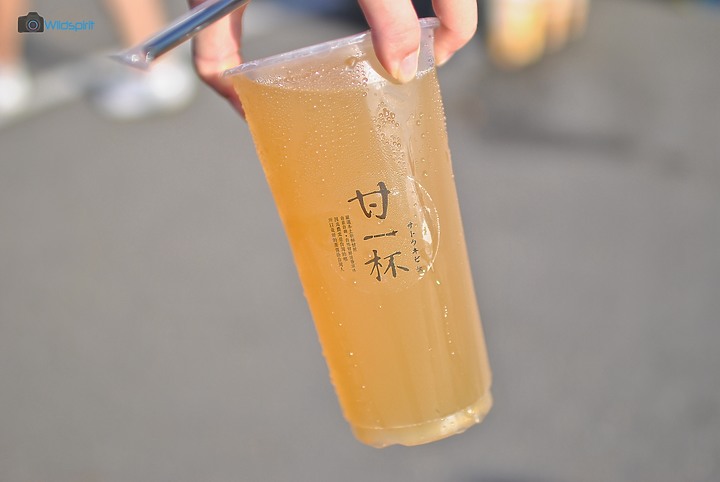 MAXSYM TL 台南試乘會