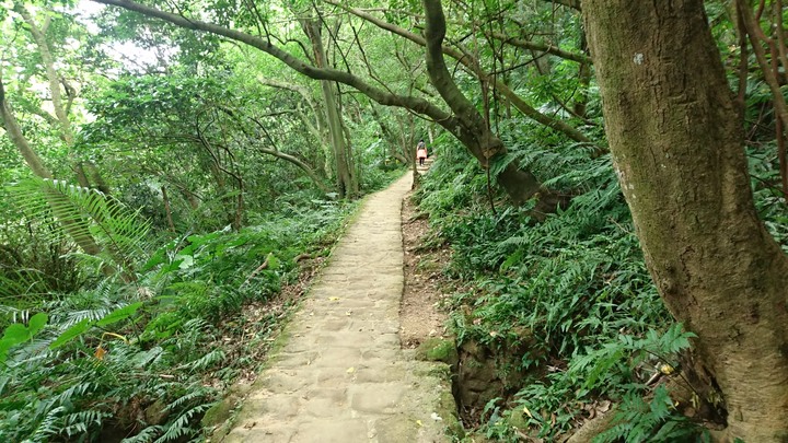 [樂山童盟] [台北內湖] 白鷺鷥山親山步道~輕鬆小品休閒路線
