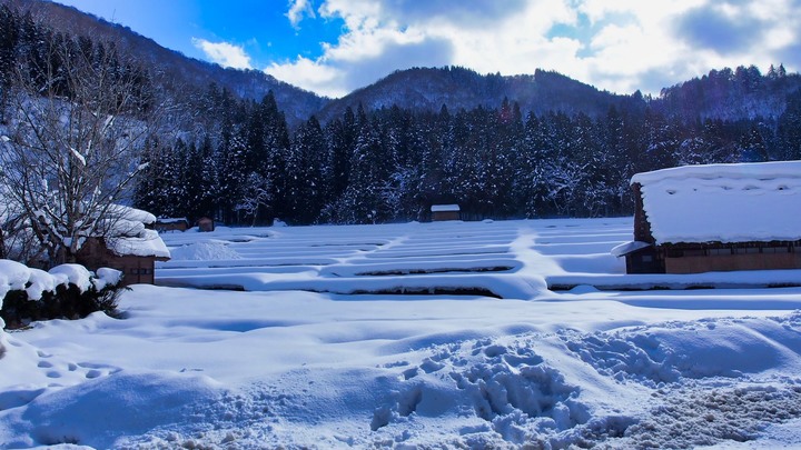雪之合掌村 巴士線上預約與IG景點地圖/消失中的童話世界