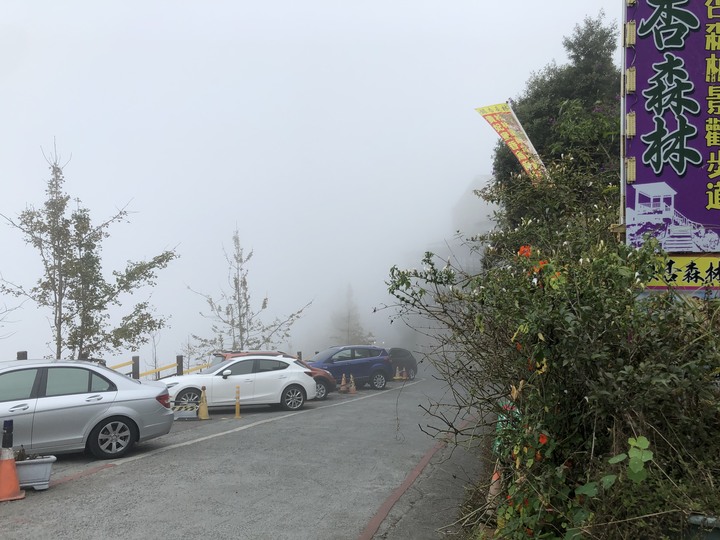 鹿谷大崙山觀景區散步遊