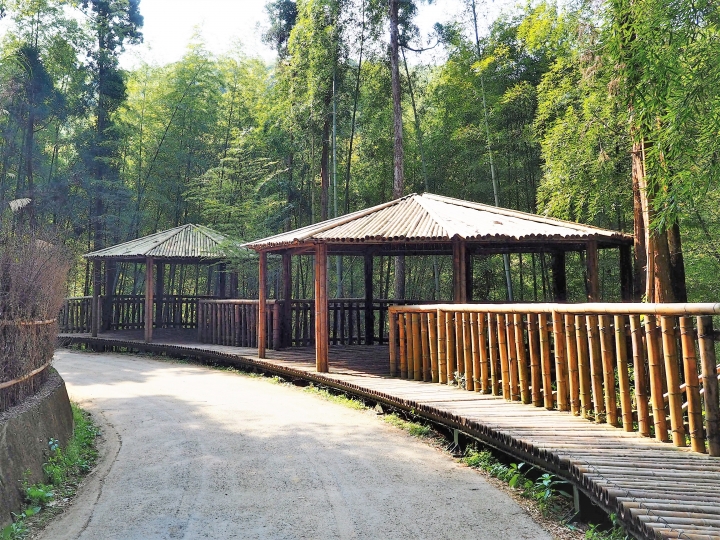 木馬古道風雲【策馬入林、東斜西堵、上塌下突、十面埋伏之竹林陣】