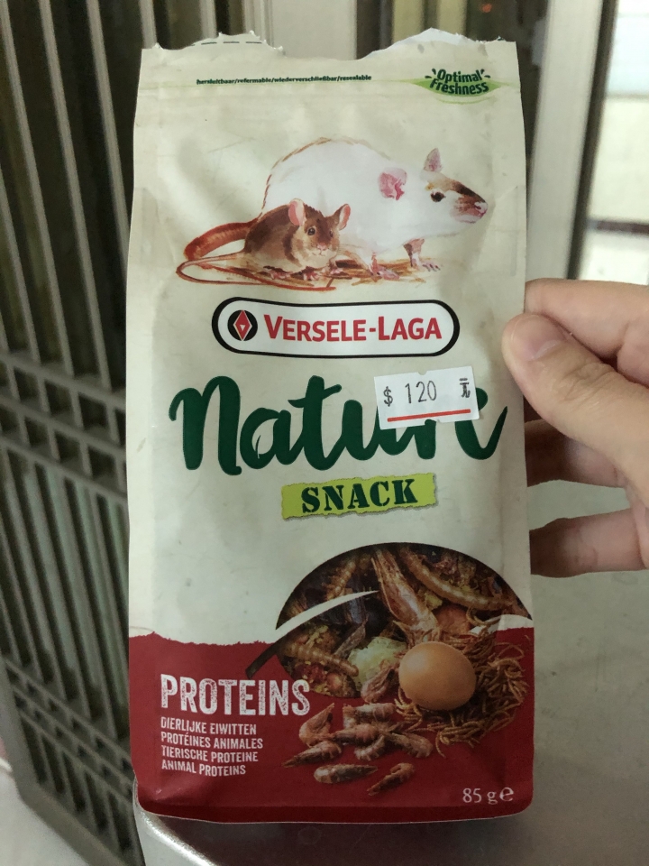 請問實驗小白鼠能吃葵瓜子嗎？