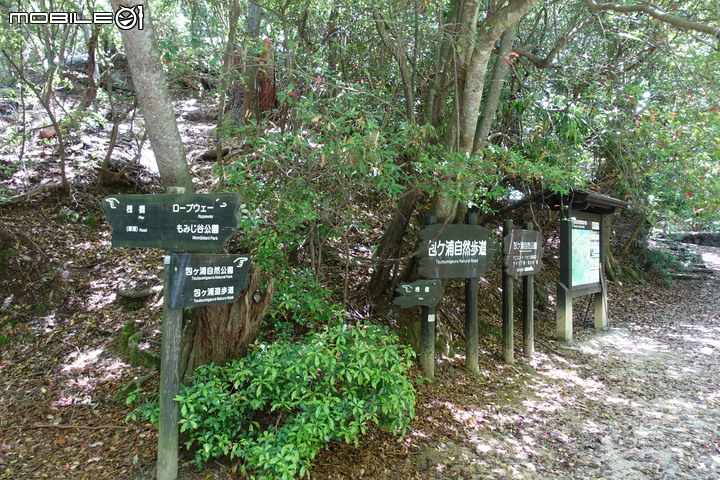 宮島就是要上弥山(彌山)