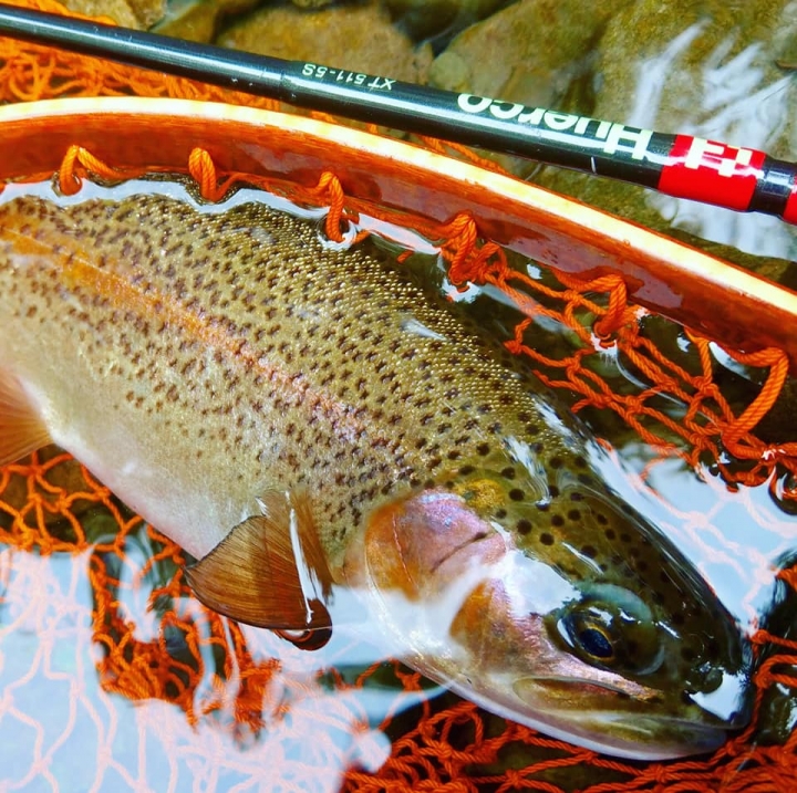 Fishing Traveler (環球釣者) - 感謝日本Huerco職業釣手帶釣 - 巨物狗鮭和粉紅鮭的逆襲、日本雨鱒、彩虹鱒爆釣！- Part 2