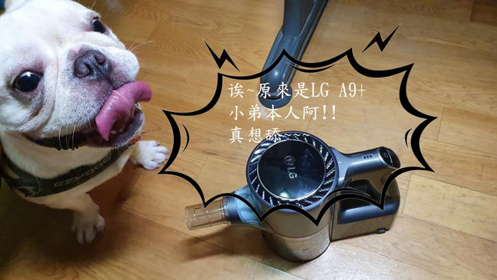 [試用] LG A9+ 濕拖乾吸樣樣來 寵物居家好幫手