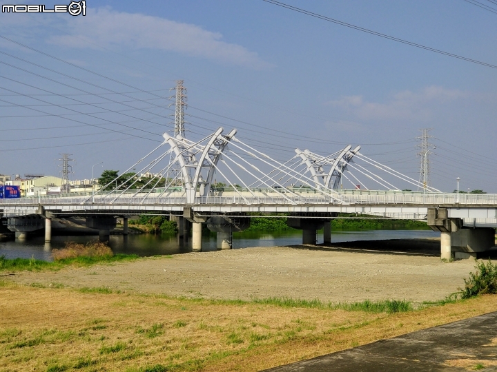 火刺木 台南市安南區科工區工業八路 11/03