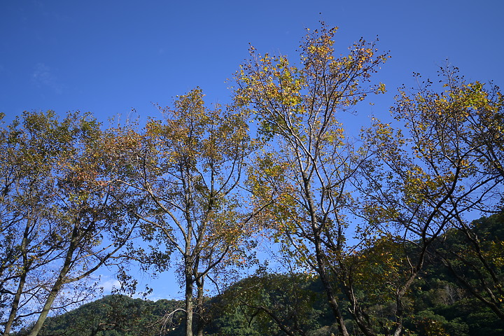 Nikon Z 24mm f/1.8 S 評測報告|體驗廣角大光圈的美好!