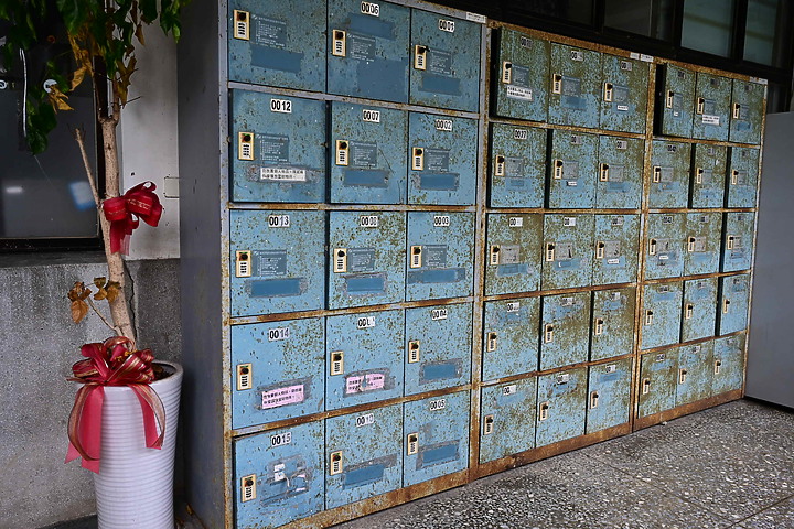 點我看大圖 Z7+14-30mm F4.0 S實拍600多人大合照:高雄女中77級78級畢業30重聚