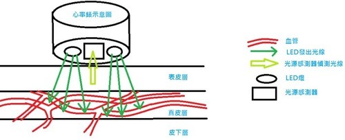 穿戴裝置 [光學心率感測器] 運作原理