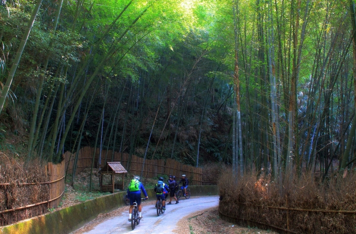 木馬古道風雲【策馬入林、東斜西堵、上塌下突、十面埋伏之竹林陣】