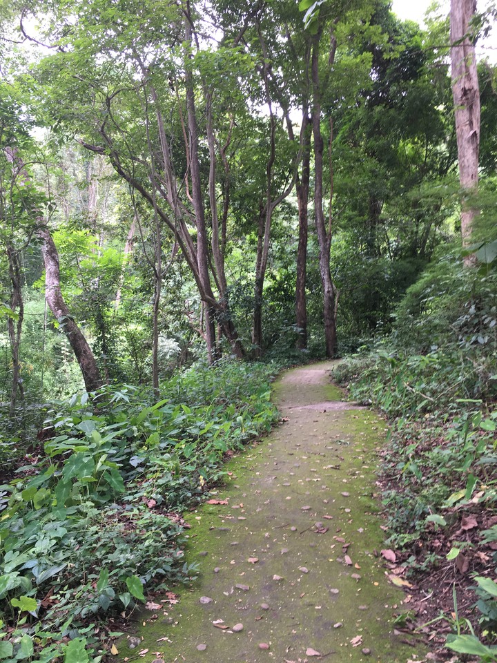 清邁近郊自駕2日