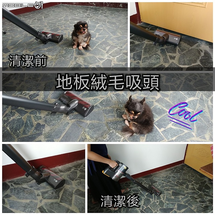 點我看大圖 LG A9+讓貓奴灰姑娘 升級成貴婦