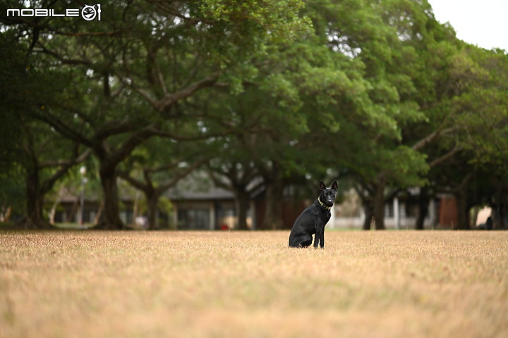 登上畫質頂峰!Nikon 58mm f/0.95 S Noct - 我們見過有史以來最銳利的超大光圈鏡頭