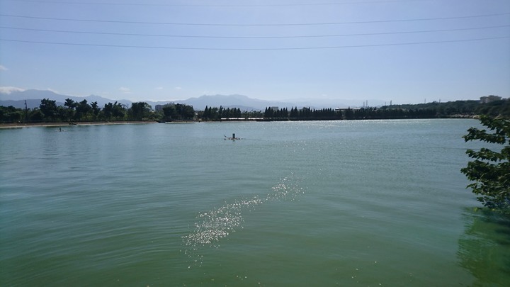 [樂山童盟] [桃園八德] 2019落羽松三處曲：八德落羽松森林-霄裡大池落羽松林-落羽松大道