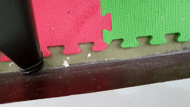 [小毛孩落毛剋星]LG A9+ 居家對抗滿地毛