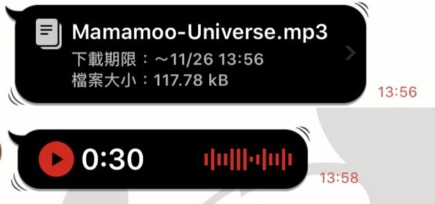 LINE將音訊檔存至iCloud被判定為影片?