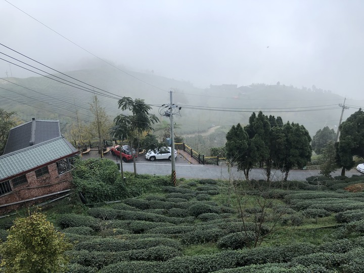 鹿谷大崙山觀景區散步遊