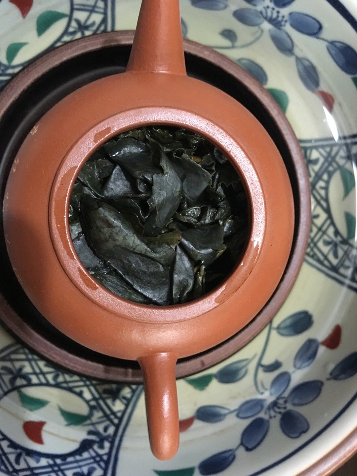 紫芽山茶
