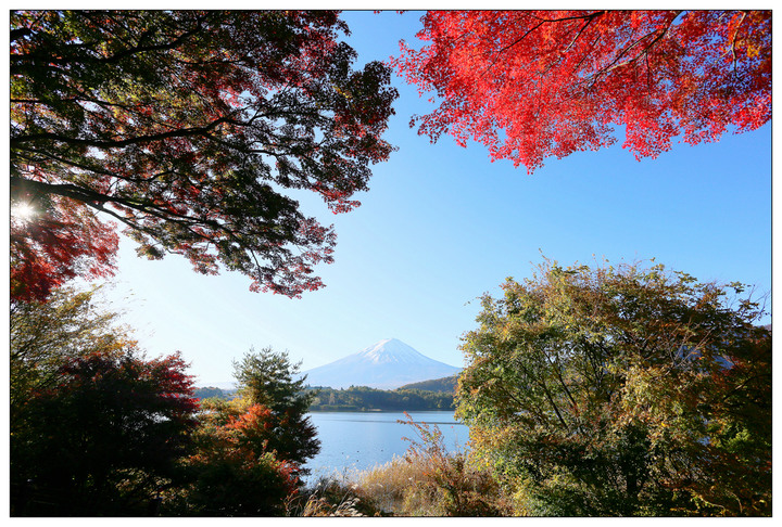 點我看大圖 「新章始動」【CBR650R】CBR650R處男跑富士山X紅葉