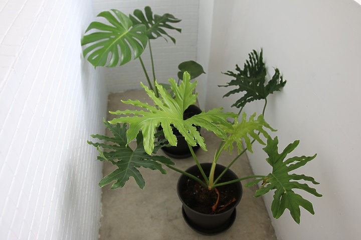 【開箱】35年老屋改造，北歐無印風格小宅
