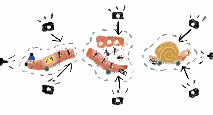 點我看大圖 五分鐘圖解,發生車禍怎麼辦