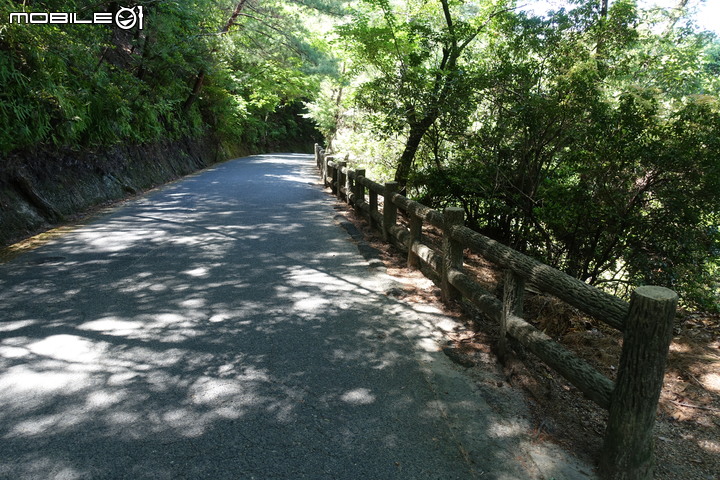 宮島就是要上弥山(彌山)