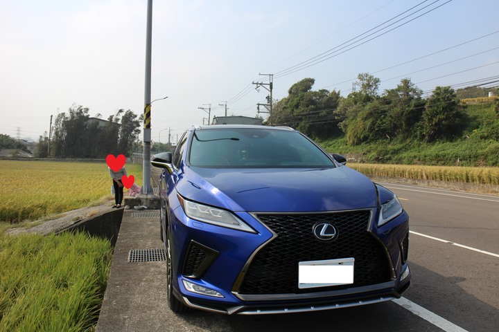 LEXUS-RX300 F sport 極燄藍