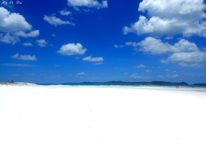 【Airlie Beach 艾爾利海灘】紫色夢幻帆船Camira party boat～白到一定要戴墨鏡的Whitehaven Beach～要看大堡礁請去Cairns不要來Whitsunday你會失望