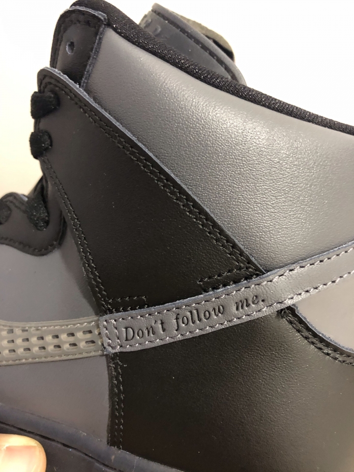 分享 Nike dunk sb FPAR (forty percent against right) 聯名