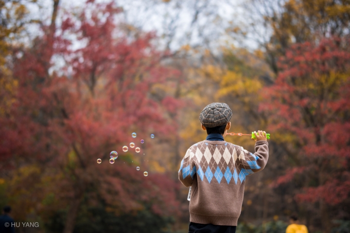 M6 II + SIGMA 56mm F1.4 DC DN