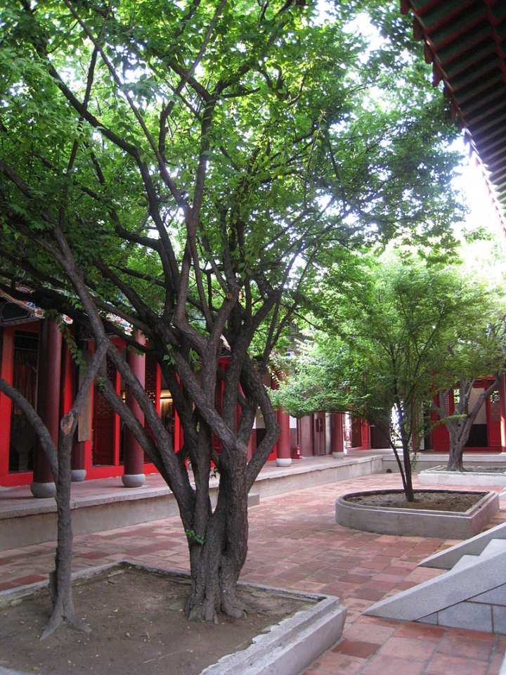 點我看大圖 延平郡王祠