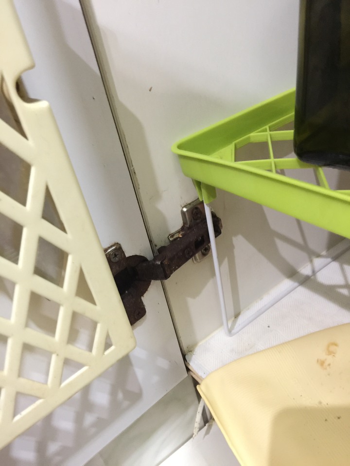 廚房長工---瓦斯熱水器篇---林內熱水器水箱問題---趴士