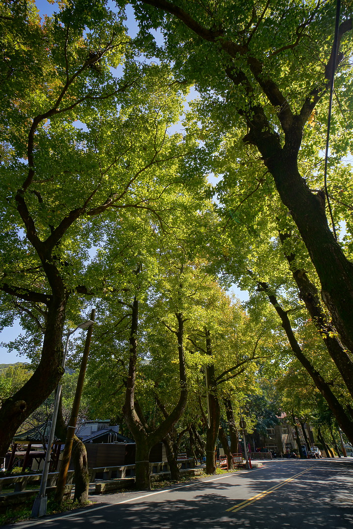 Samyang AF 18mm F2.8 FE 超廣角評測|輕巧鏡身 親民價格!