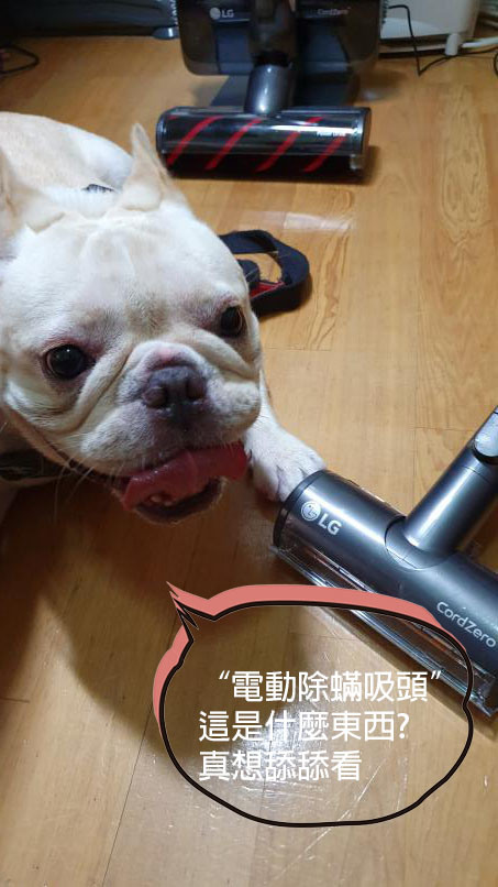 [試用] LG A9+ 濕拖乾吸樣樣來 寵物居家好幫手