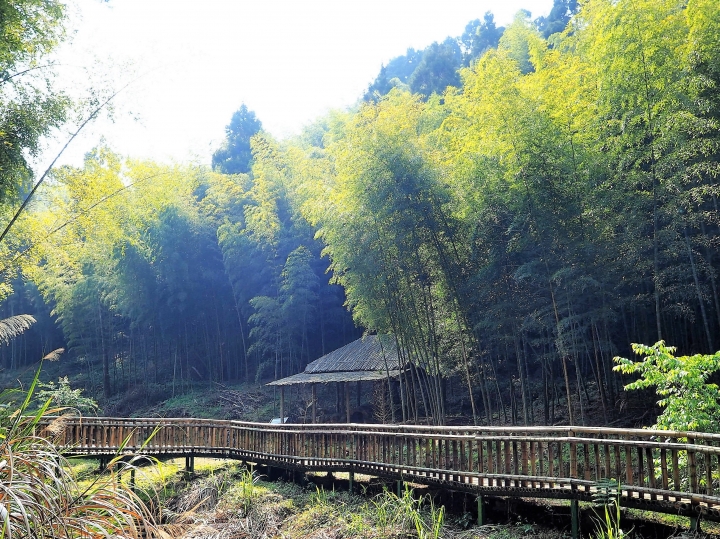 木馬古道風雲【策馬入林、東斜西堵、上塌下突、十面埋伏之竹林陣】