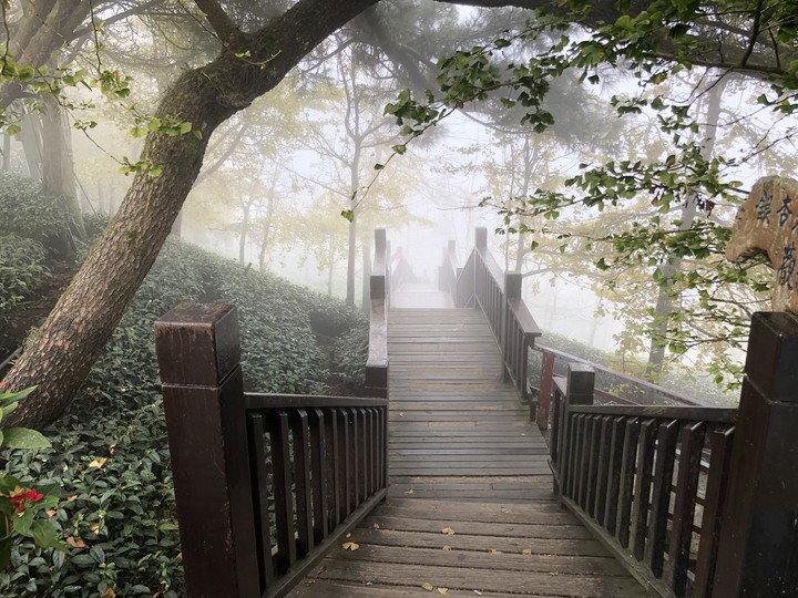 鹿谷大崙山觀景區散步遊