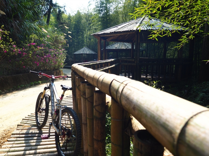 木馬古道風雲【策馬入林、東斜西堵、上塌下突、十面埋伏之竹林陣】