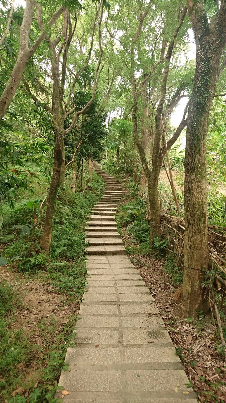 [樂山童盟] [新北新店] 獅頭山步道（中興路登山口-小獅山-文中路登山口）~景觀優~步道佳~值得一遊喔~