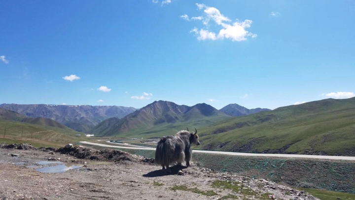 唐番古道之青海段骑行