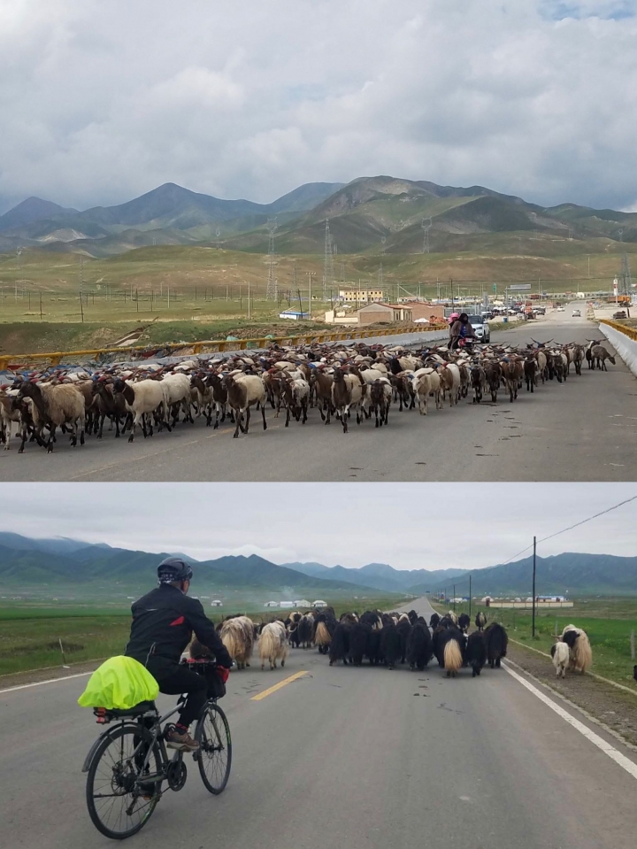 唐番古道之青海段骑行