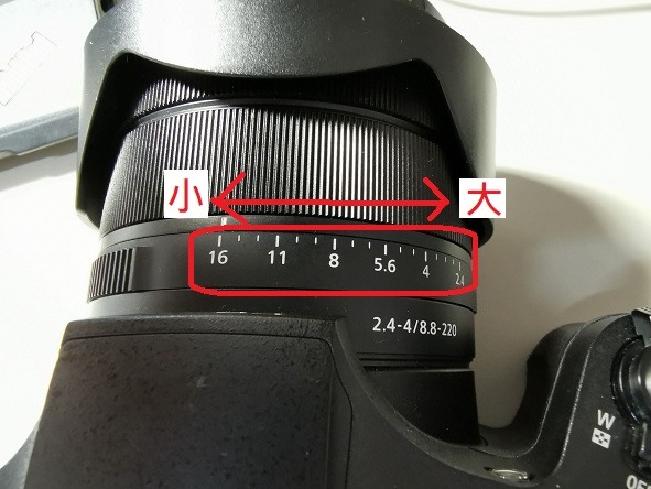 點我看大圖 《SonyRX10 IV野生動物攝影大賽》試用心得