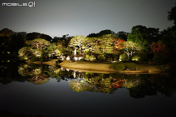[a7R & FE35] 重拾熱情之一機一鏡輕旅行 - 東京 六義園夜楓 x 銀杏隨手拍