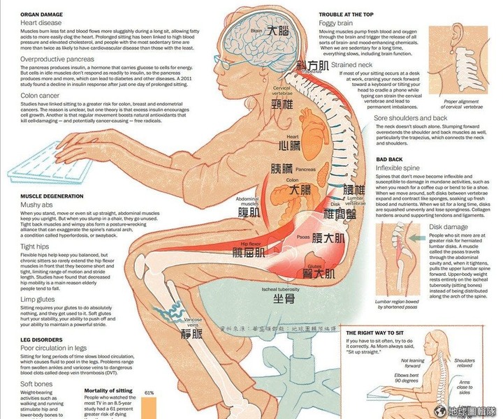 坐好坐滿上班族 算過一天坐多久?