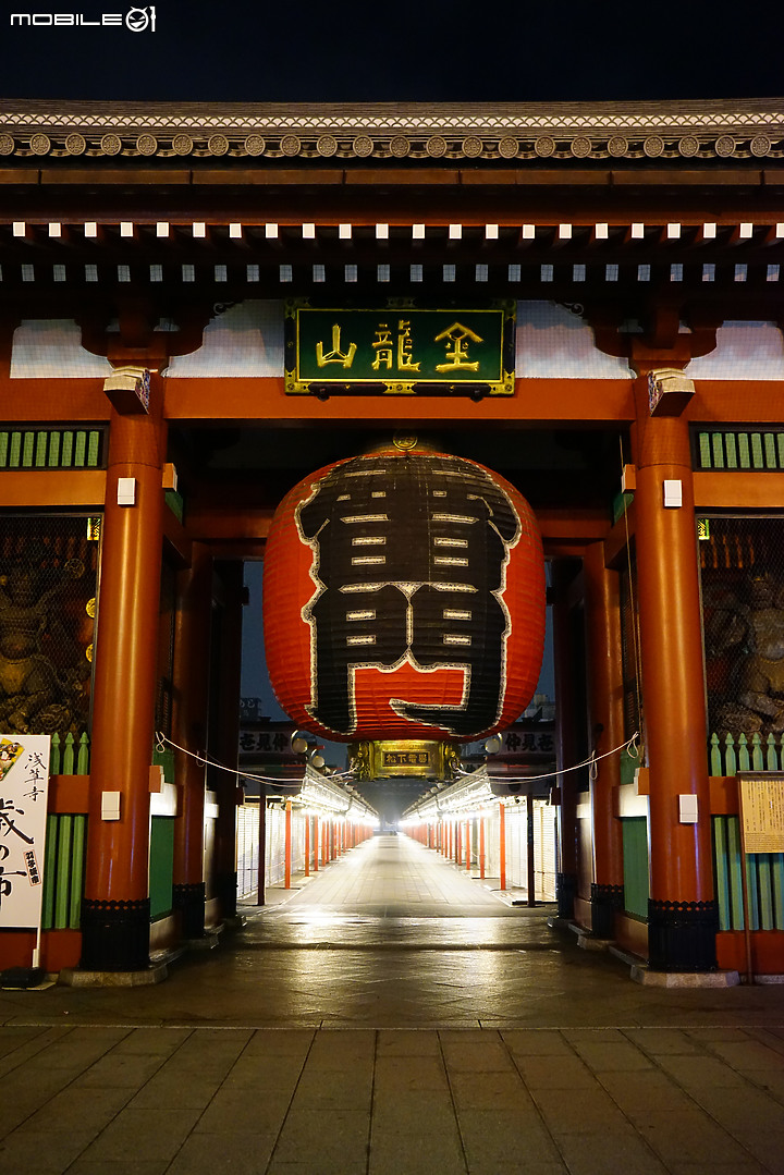 [a7R & FE35] 重拾熱情之一機一鏡輕旅行 - 東京 六義園夜楓 x 銀杏隨手拍